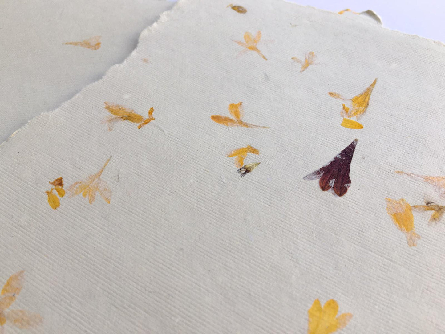 Hand made flower paper 100% cotton